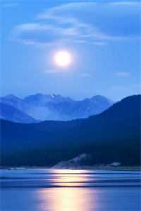 未婚夫让女学生住进宿舍后，我离开了大结局