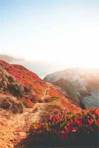 被嘲绝嗣？我嫁糙军官一胎生了叁全文