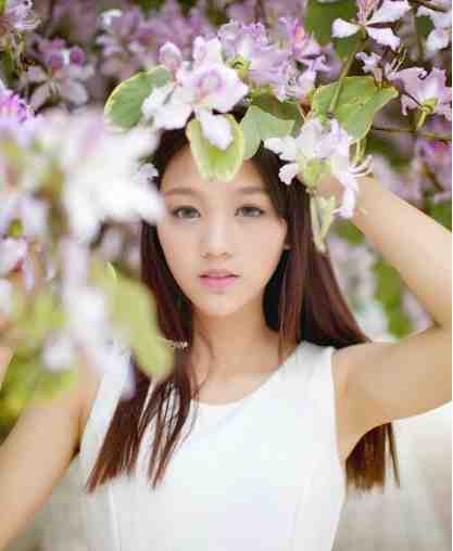 爱意死在春风里全文阅读最新