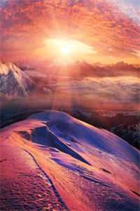 婚热情浓，裴总日日诱哄求官宣优质全文阅读