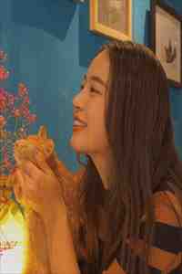 爸妈让我跟弟弟靠斗牛纸牌分拆迁款后，他们后悔了在线阅读