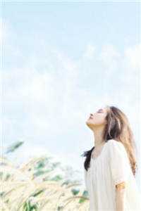 穿越综武：开局福州城锦衣卫千户良心推荐