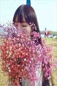 山河为证，情字成空完结