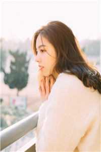 雪霁云开终有尽免费阅读全文