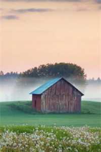 春深花浅忽而已良心推荐