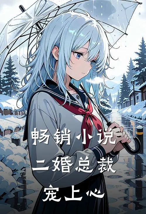 畅销小说二婚总裁宠上心