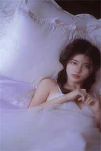 从此年年不见雾目录