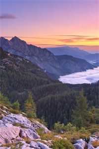 细雨洇湿青衫小说畅读