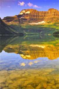 遇上阳火之身的暴君后，身为魅魔的我笑疯了无广告