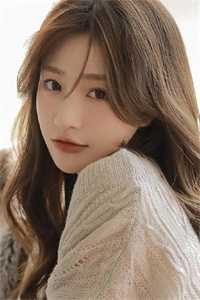 外交翻译官：我的征途是山河无恙完结