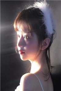 暮雪葬归途火爆小说