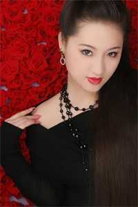 旧巷深灯照归人全新