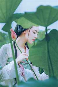 小秘书把公婆送去国外转机被滞留，老公却让我不要救援全局