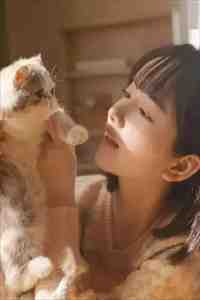 我妈被拐前就结婚了在线看