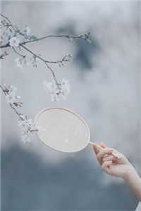 婚礼现场，我跟别人撞了新郎推荐