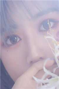 明月不曾照热门