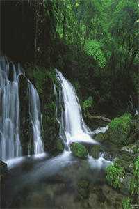 外交翻译官：我的征途是山河无恙番外+无删减