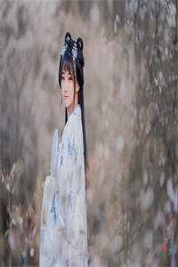 就像蝴蝶飞不过那座山人气小说