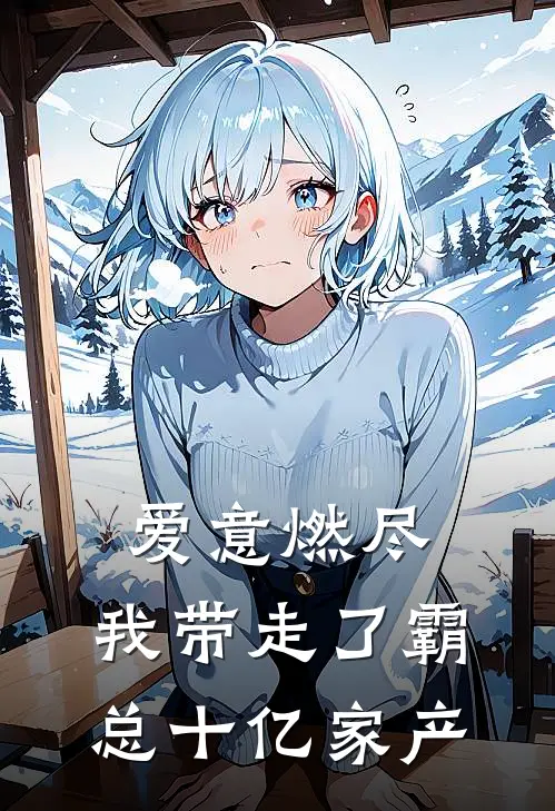 爱意燃尽，我带走了霸总十亿家产