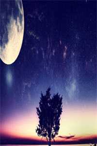 山海辞岁月精品篇