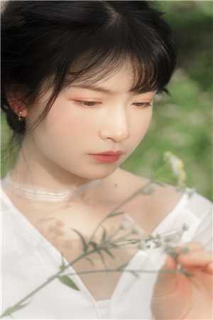 繁星夜的再见免费阅读