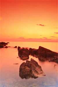 烟水拢残月全文免费