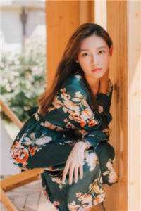 风已阑珊小说结局