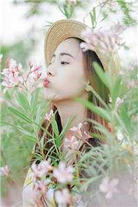 洋洋兮又复巍峨，来客忽笑我高口碑