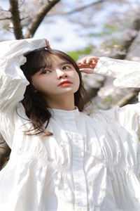 情殇南夏独行免费阅读