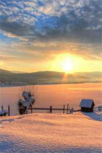 大婚前夜，嫡母交换了我和嫡姐的花轿完整文集阅读