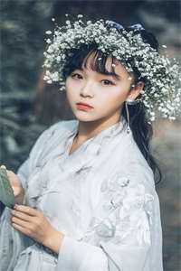 梨花依旧笑旧年篇章