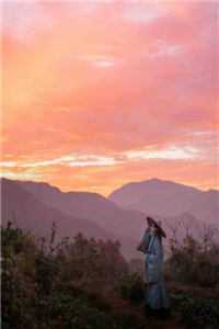 新婚暗恋法则小说