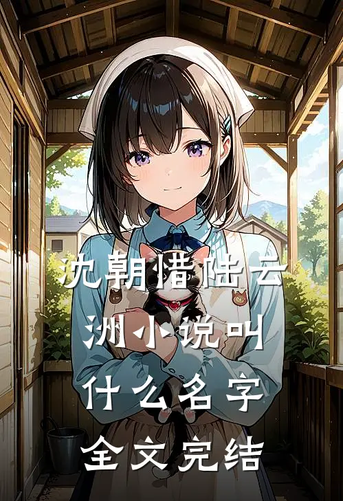 沈朝惜陆云洲小说叫什么名字全文完结