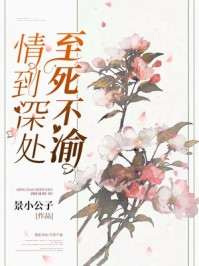 用一场流浪遗忘你最新热门小说