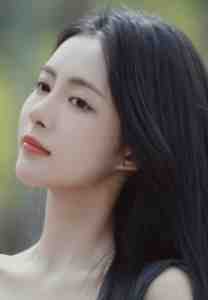 偏偏风勾起思念沈宿野梁时语全文+免费