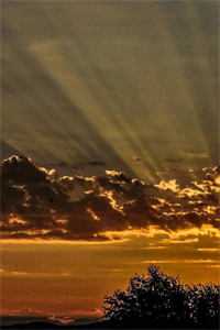 五零村姑有点疯，开局砸渣爹婚礼后续+全文