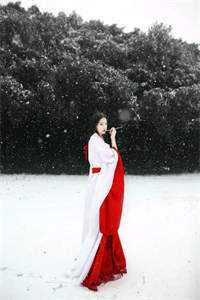 浮生唯你是遗憾最新热门小说