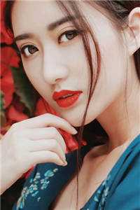 破产留子，靠多子多福横推北美全文+免费