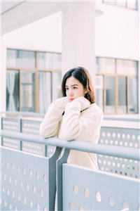 情深敌不过命定，我选择放弃妻子后续+全文