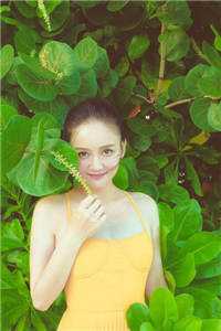 布津漫天雪夜：一场意外浪漫邂逅小说畅读