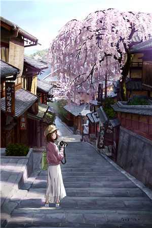 爱到南辕北辙时爆款热文