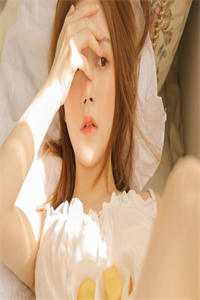 南风未起，念你成疾陈念陆予阔全文+免费