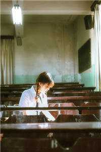 闺蜜的马卡龙赵承晏灵昭完结文