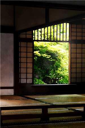 穿到十年后，我竟成了恶女全章节