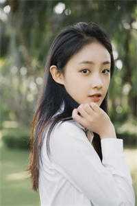 外交翻译官：我的征途是山河无恙精品篇