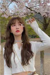 穿越遇重生嫁接母子杀疯了小说结局