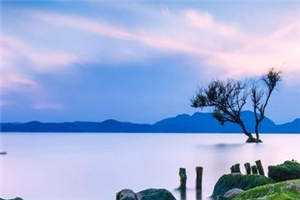 爱意尽失广告+结局