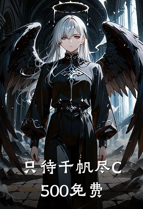 只待千帆尽C500免费
