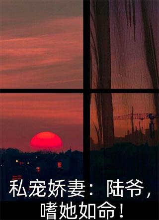 圣诞被离婚，跨年当富婆全本小说推荐