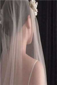 细雨洇湿青衫完整作品